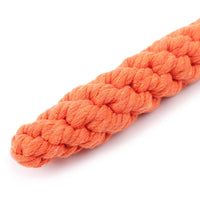 Carrot Dog Rope Toy