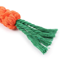 Carrot Dog Rope Toy