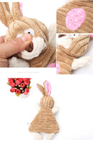 Dog Squeak Toy